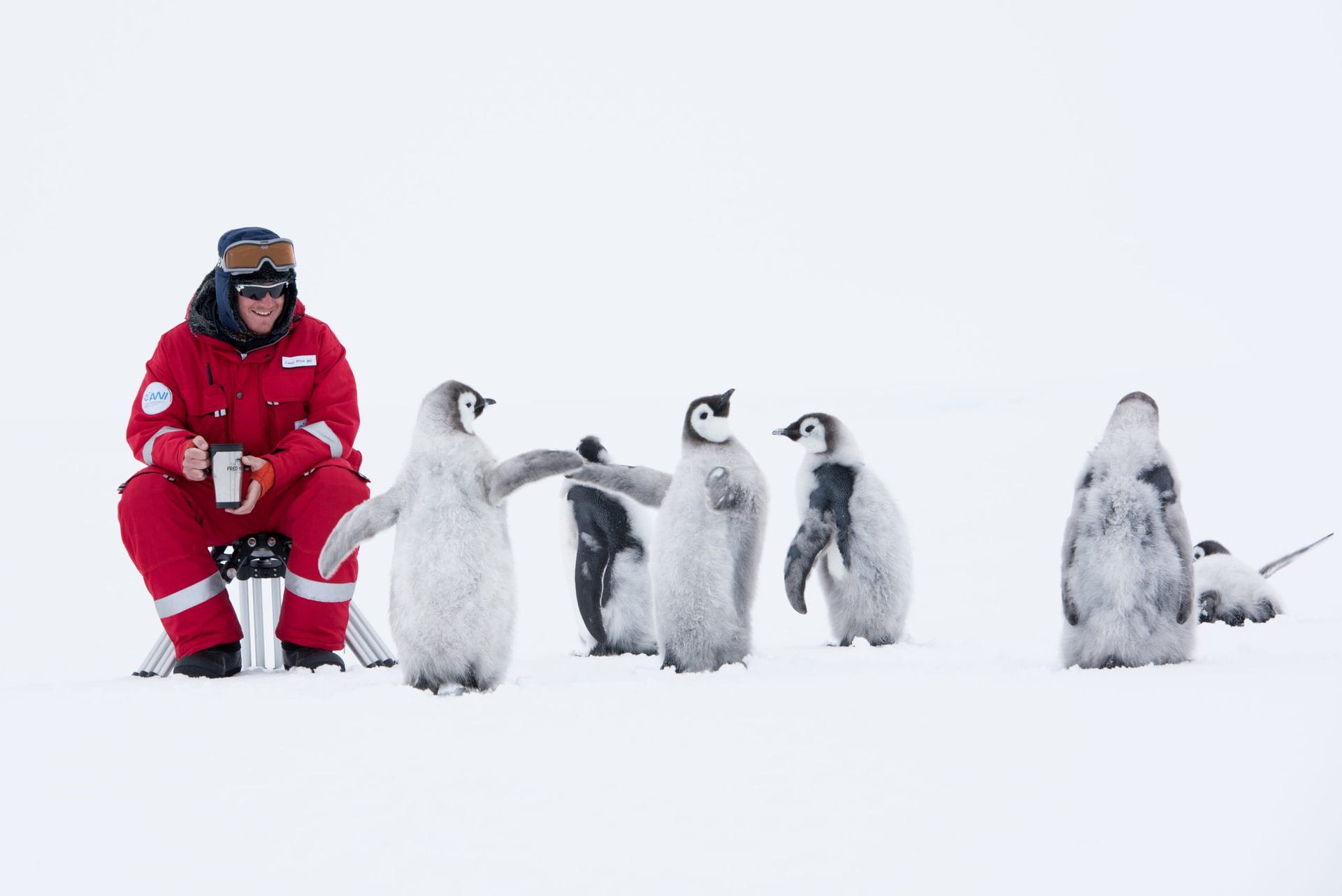 Lindsay McCrae with Emperor Penguins