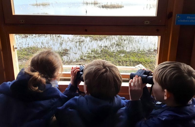 Pre-Prep Look to the Skies in Science