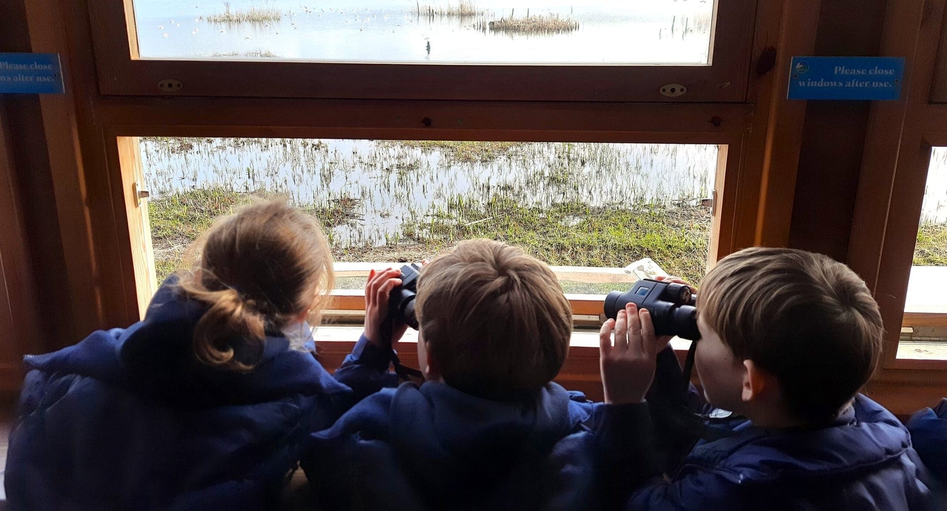 Bird Watching